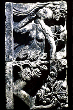 image used for decoration only